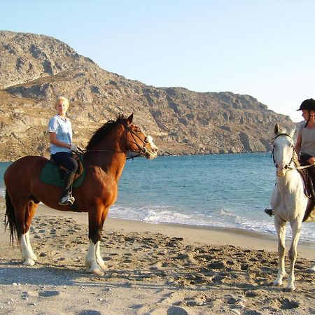 Alianthos Beach Hotel Плакиас Екстериор снимка