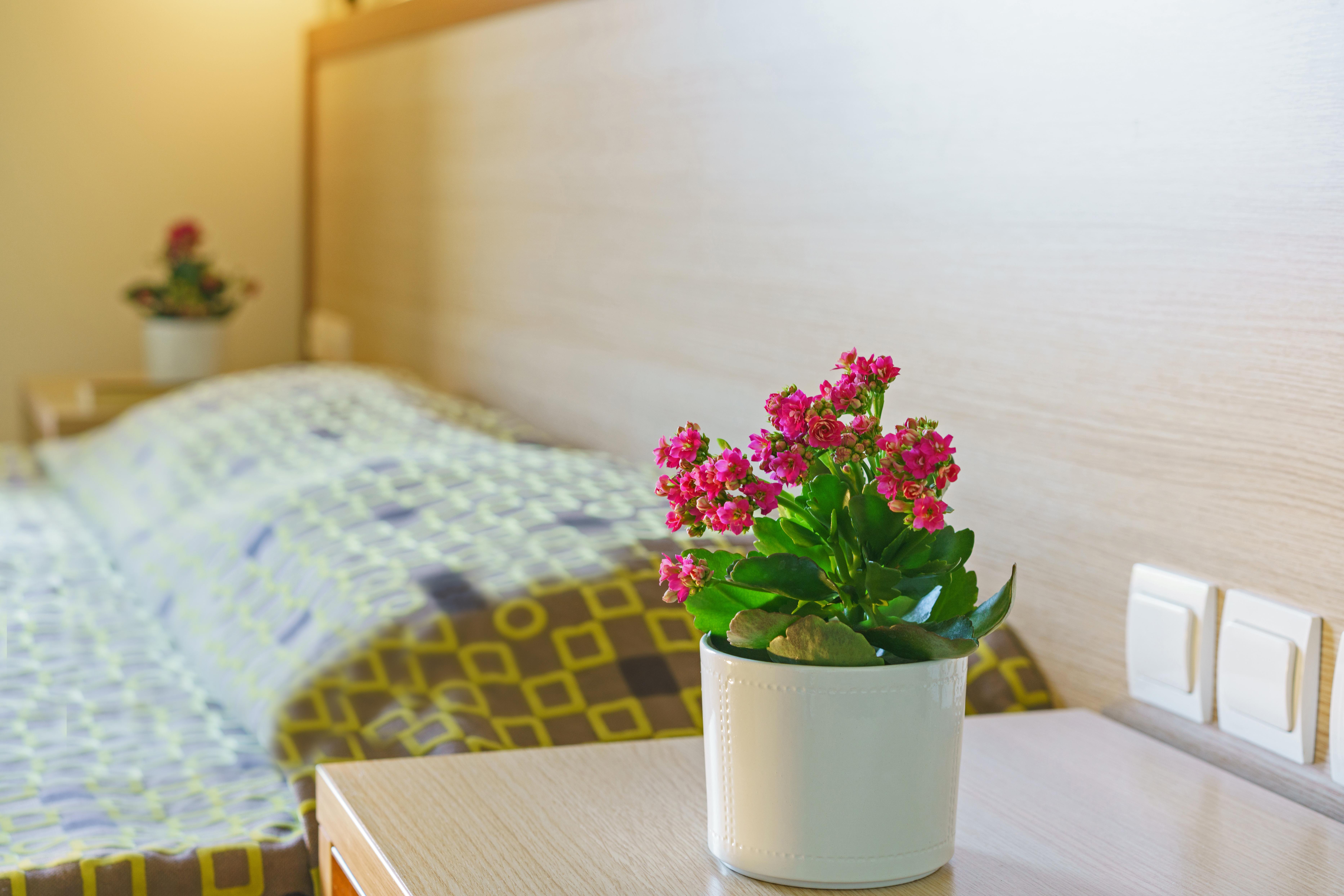 Alianthos Beach Hotel Плакиас Екстериор снимка